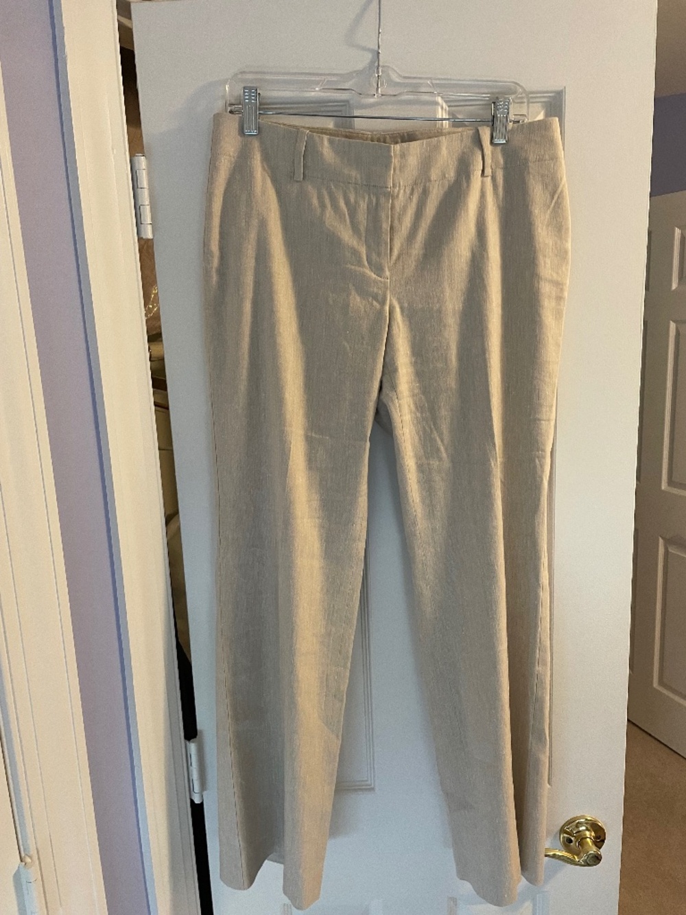 Ann Taylor Linen Blend Light Beige/Flax Pants 8P